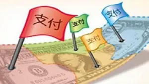 第三方支付受两会关注 代表们都说了啥？